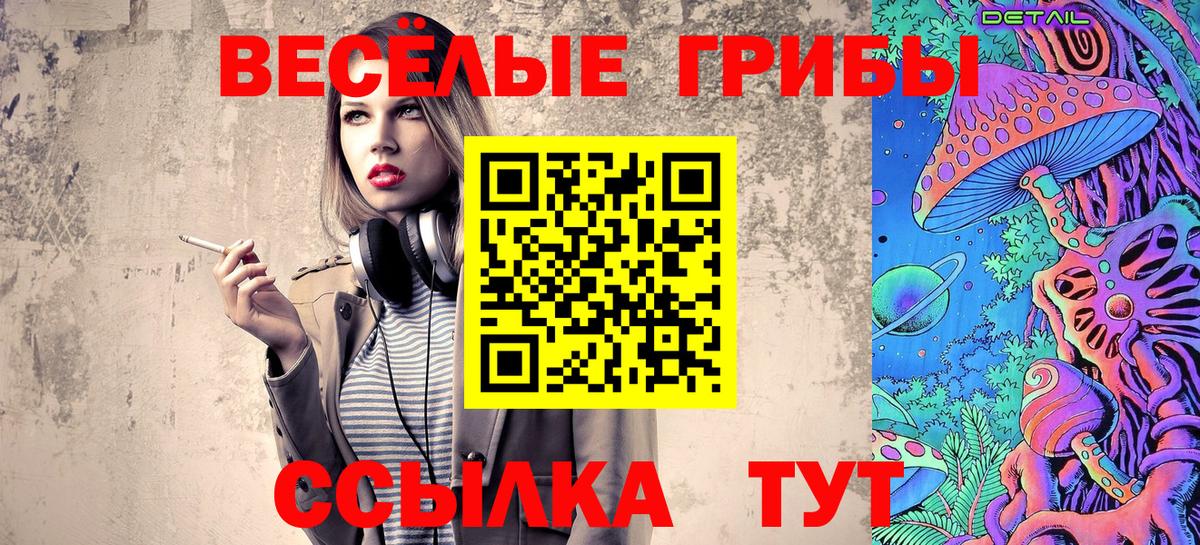 Псилоцибиновые грибы Psilocybine cubensis Губкинский