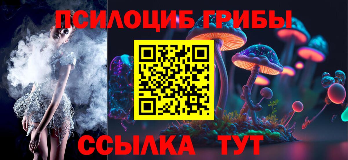 Галлюциногенные грибы MAGIC MUSHROOMS  Вход с VPN  Галлюциногенные грибы Cubensis  Губкинский 